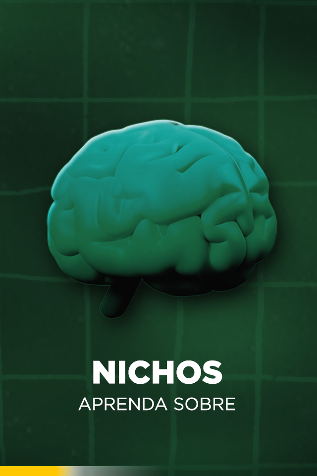 CAPA_03_NICHOS.png